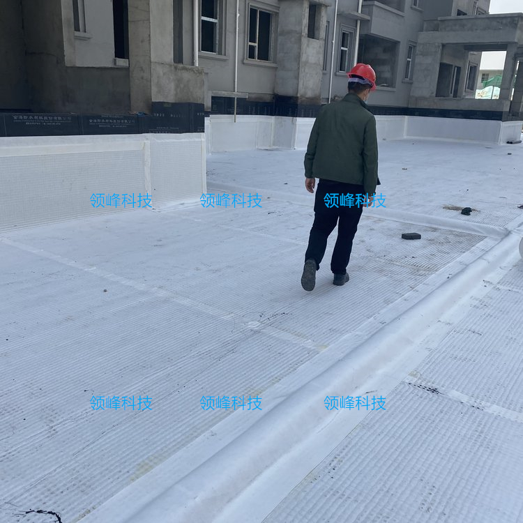 LSC滲排水系統(tǒng) 復(fù)合高分子防護(hù)排水異形片 河南新鄉(xiāng)項(xiàng)目
